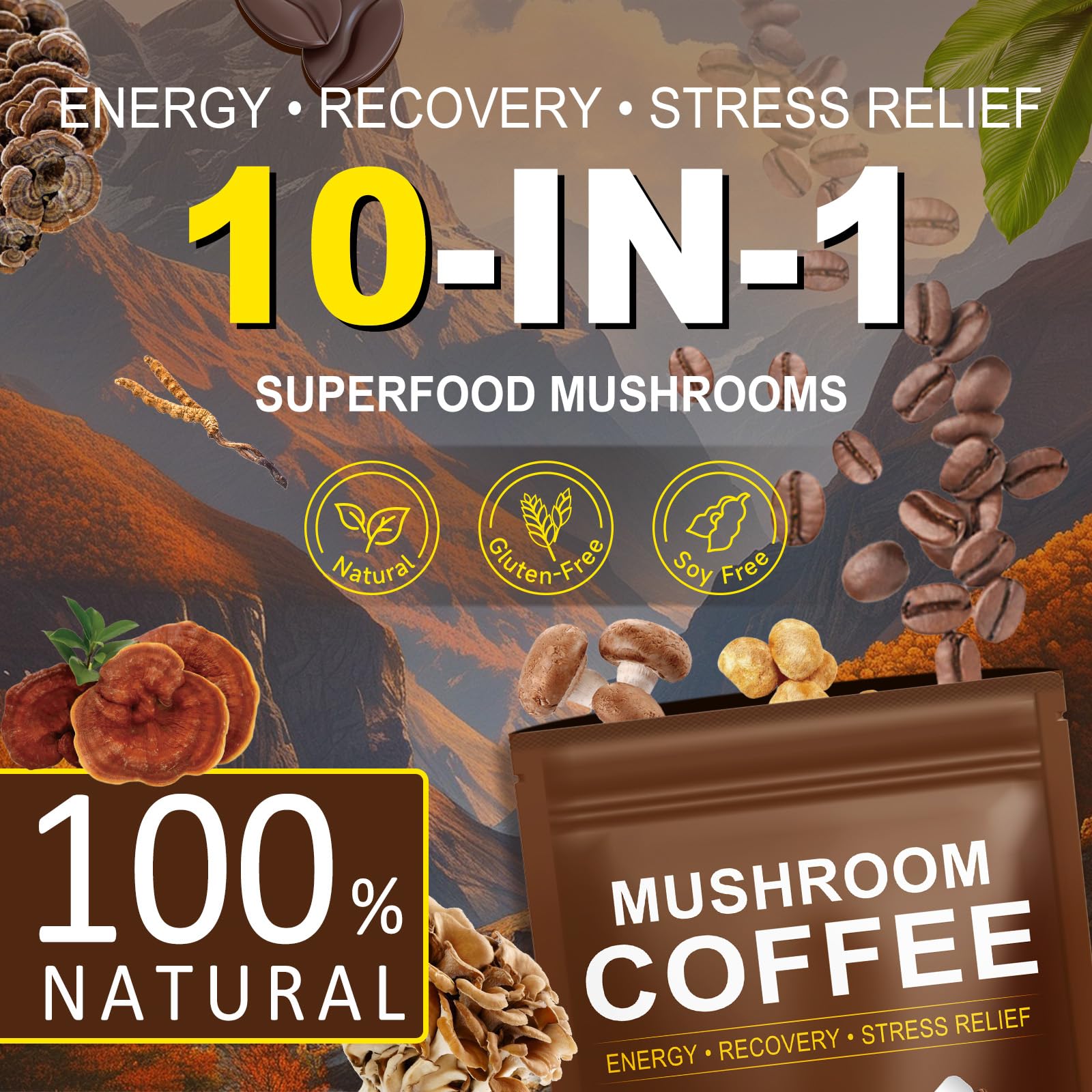 WLCTJIAYOU Mushroom Coffee ingredients chart featuring Lion's Mane and Cordyceps.
