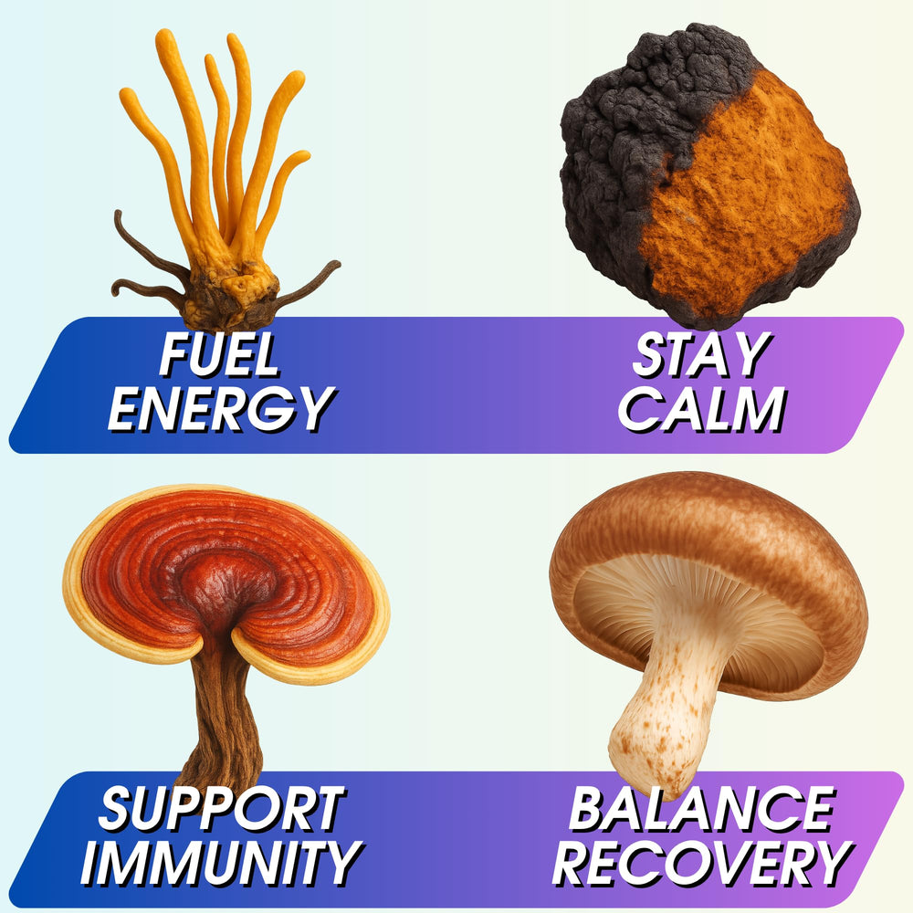 Wonder Family reishi chaga shiitake mushrooms with earthy flavor
