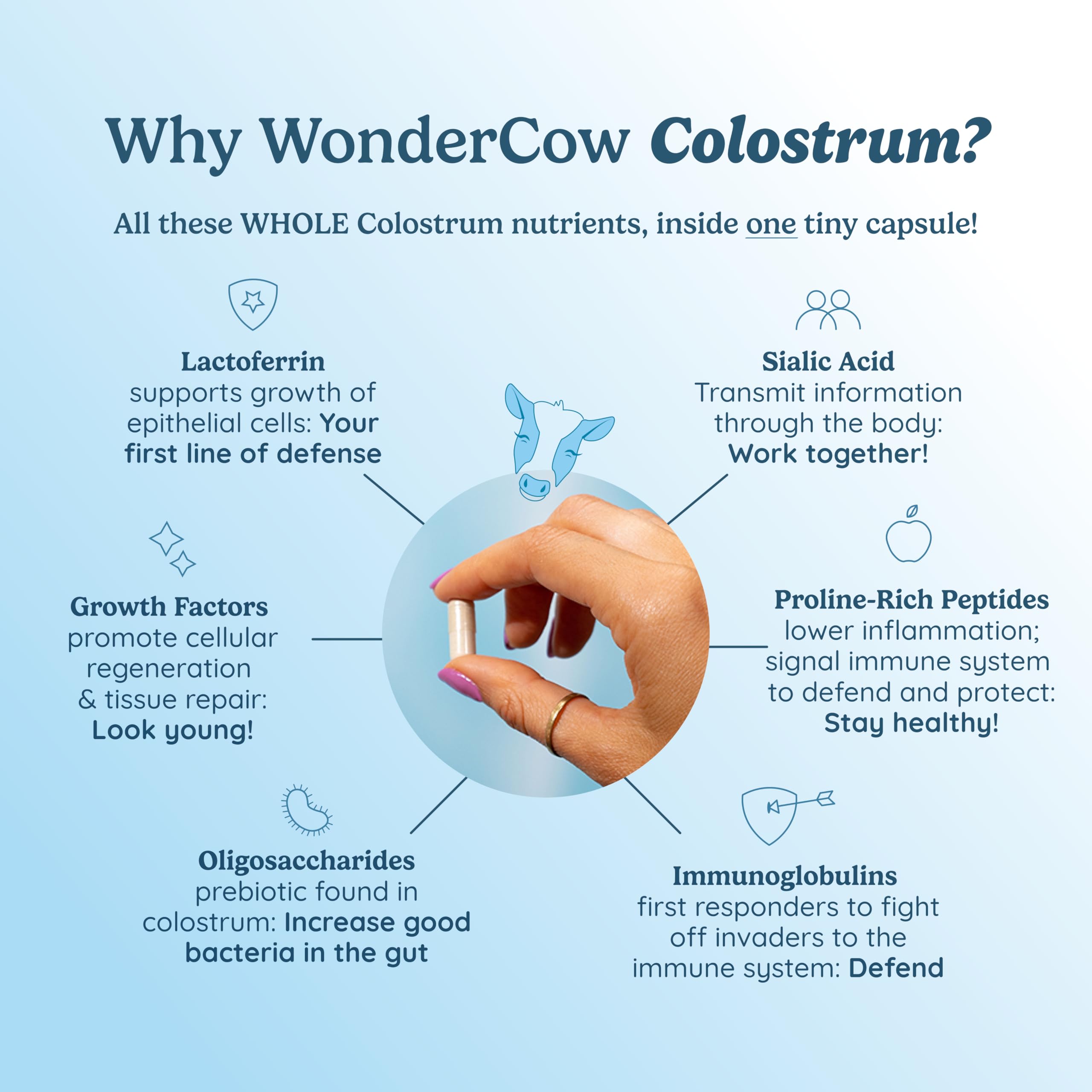 WonderCow Colostrum Capsules close-up of ingredients and immunoglobulins.