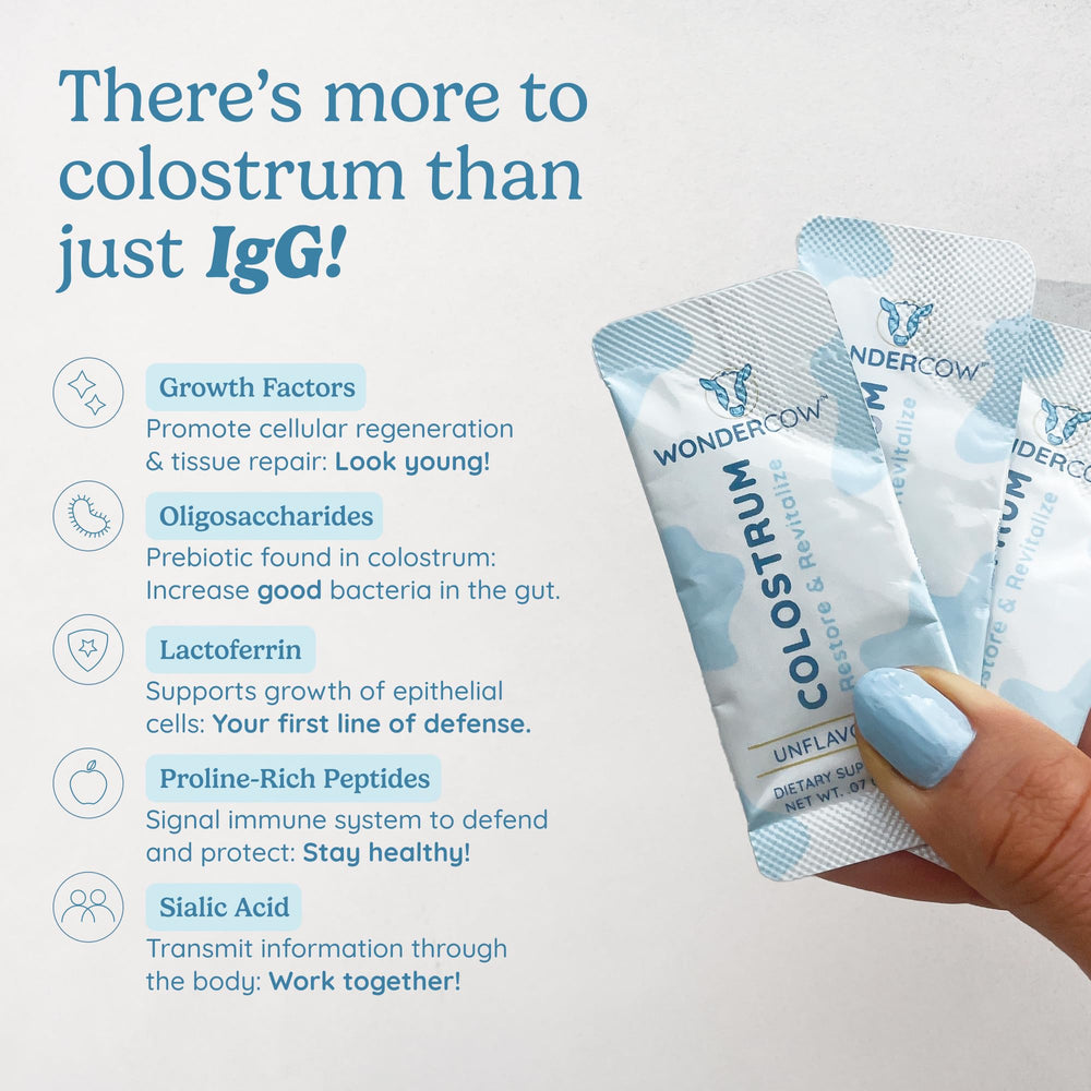 WonderCow colostrum powder in a smoothie blends smoothly for daily gut support.