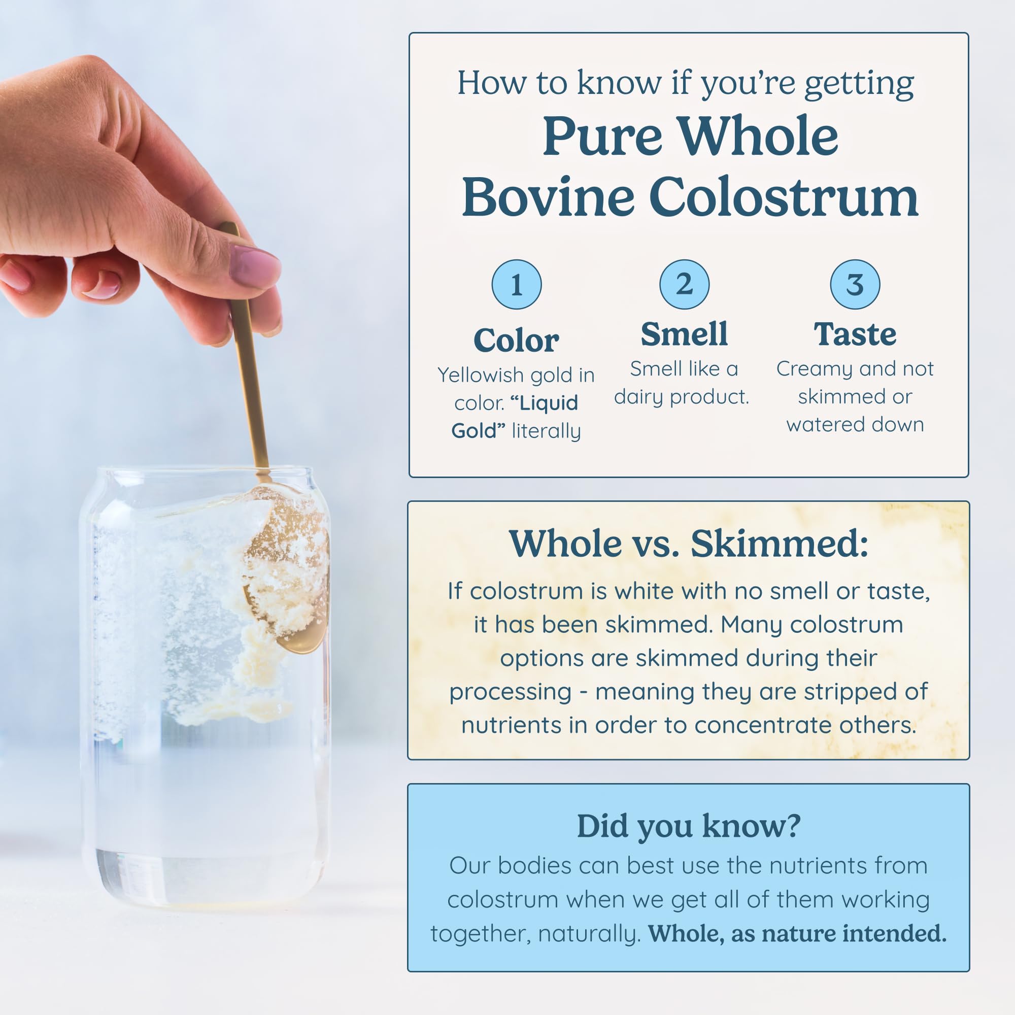 WonderCow colostrum powder being poured into a glass, hinting easy daily consumption.