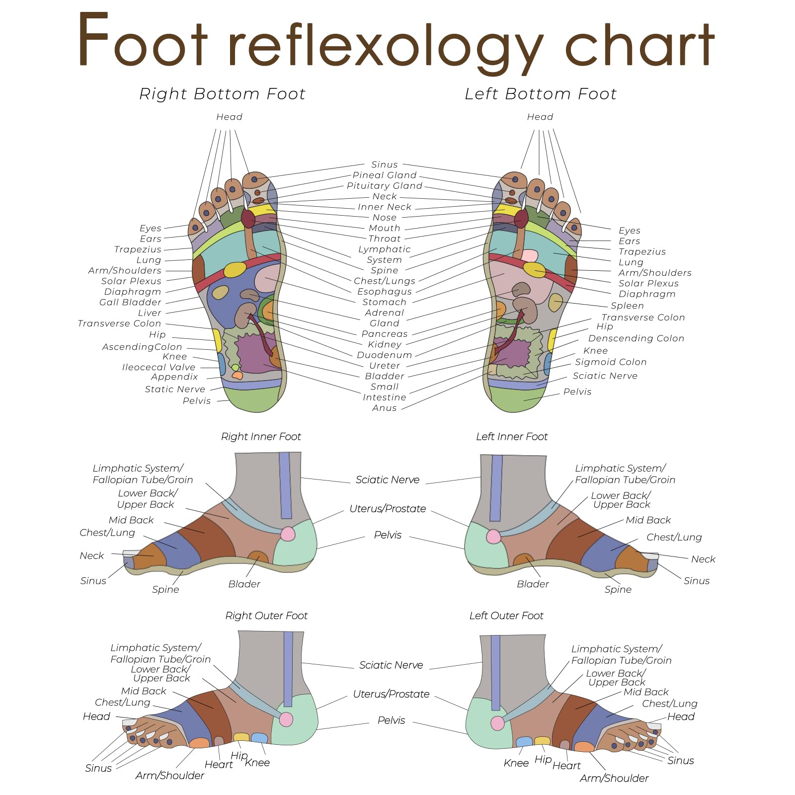 Worive reflexology socks set gift-ready packaging for thoughtful gifting