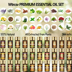 Wtrcsv diffuser scene with oils ready to refresh living spaces