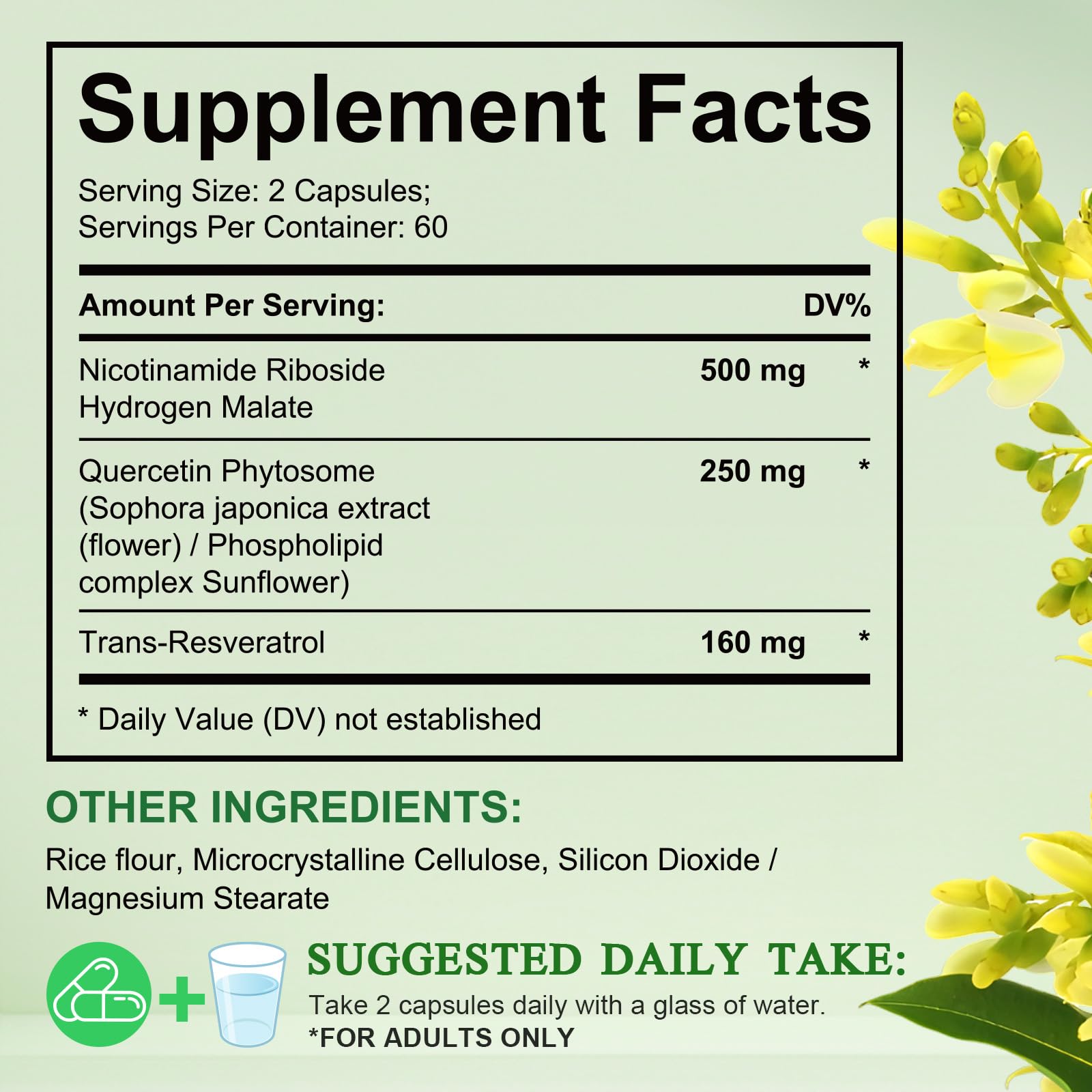 Xaarty NAD capsules close-up showing nicotinamide riboside and resveratrol benefits