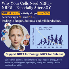 Xontravix NRF1 NRF2 capsules ready-to-take for mitochondrial health.