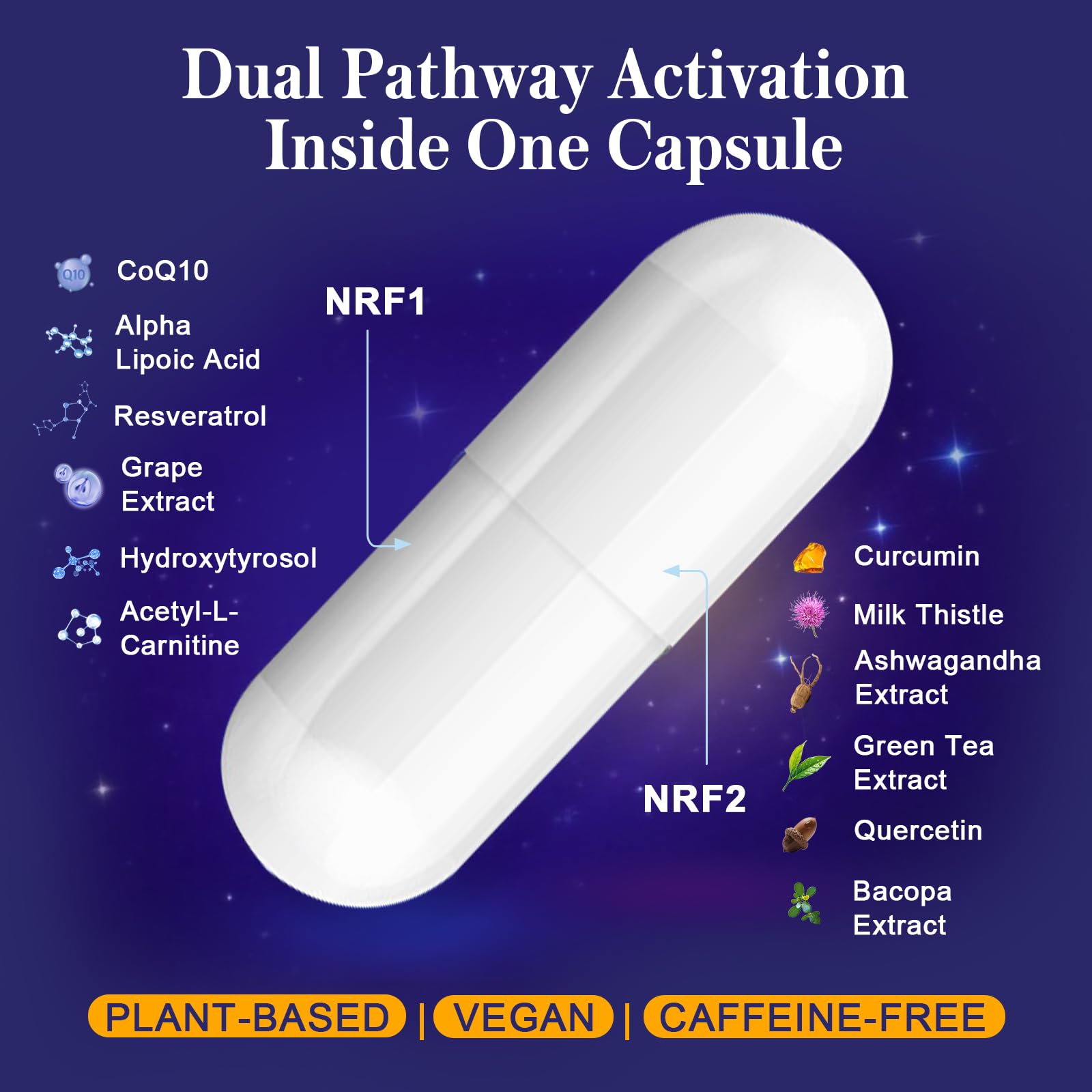 Xontravix NRF1 NRF2 feature graphic highlighting mitochondria support.