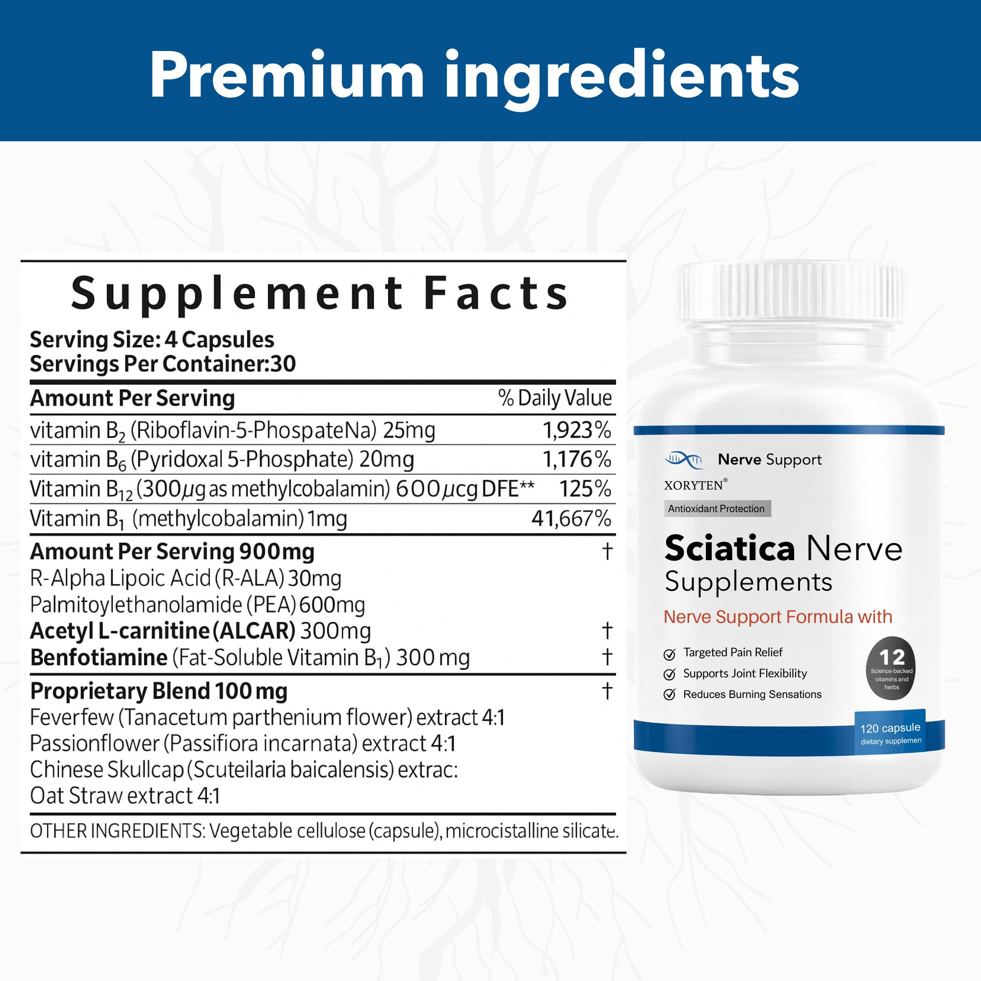 XORYTEN capsules closeup — high-quality capsules for consistent intake.