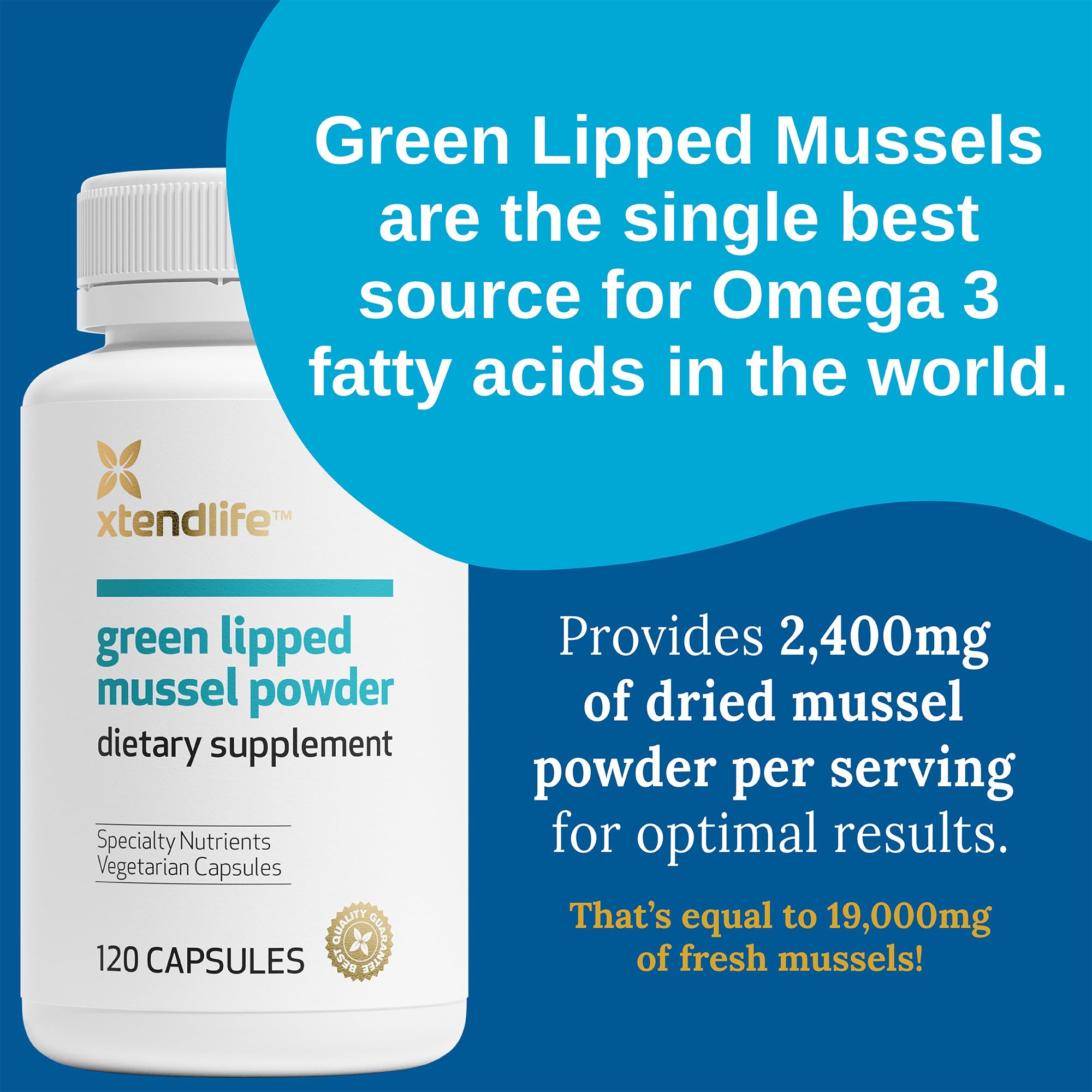 Xtendlife green-lipped mussel powder closeup highlighting natural texture.