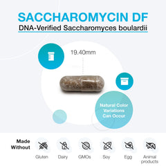 Capsules and bottle showing dairy-free, shelf-stable probiotic for travel