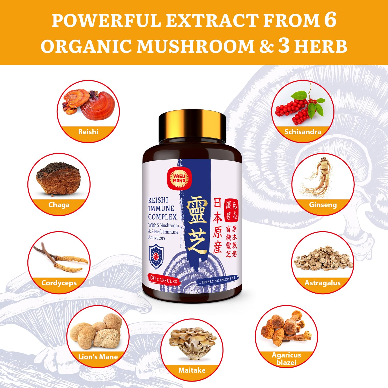 Yasumako Japanese Reishi Complex label close-up highlighting 9-in-1 blend.