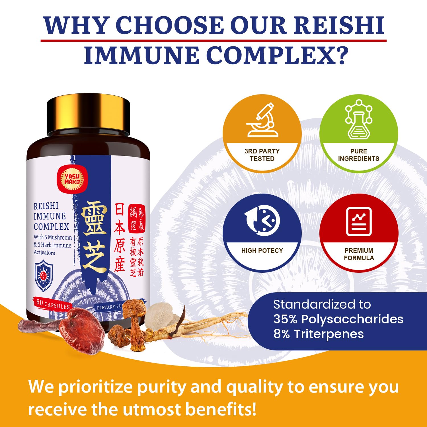 Yasumako ingredients chart close-up illustrating mushroom extracts and herbs.