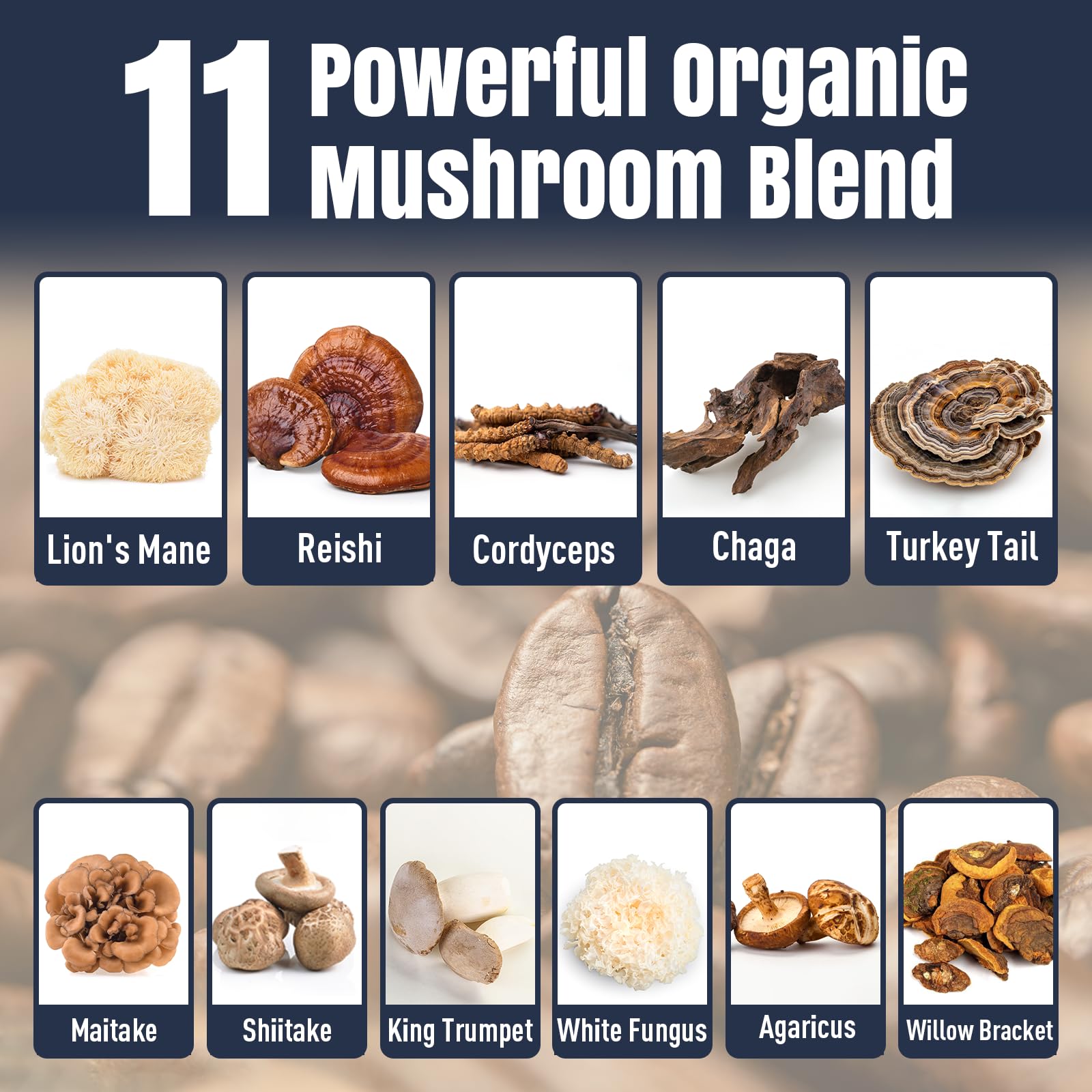 YEKBYOE Mushroom Coffee cinnamon and salt detail for smooth flavor.