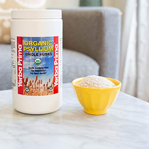 Measuring scoop with psyllium husk ready for daily fiber use.
