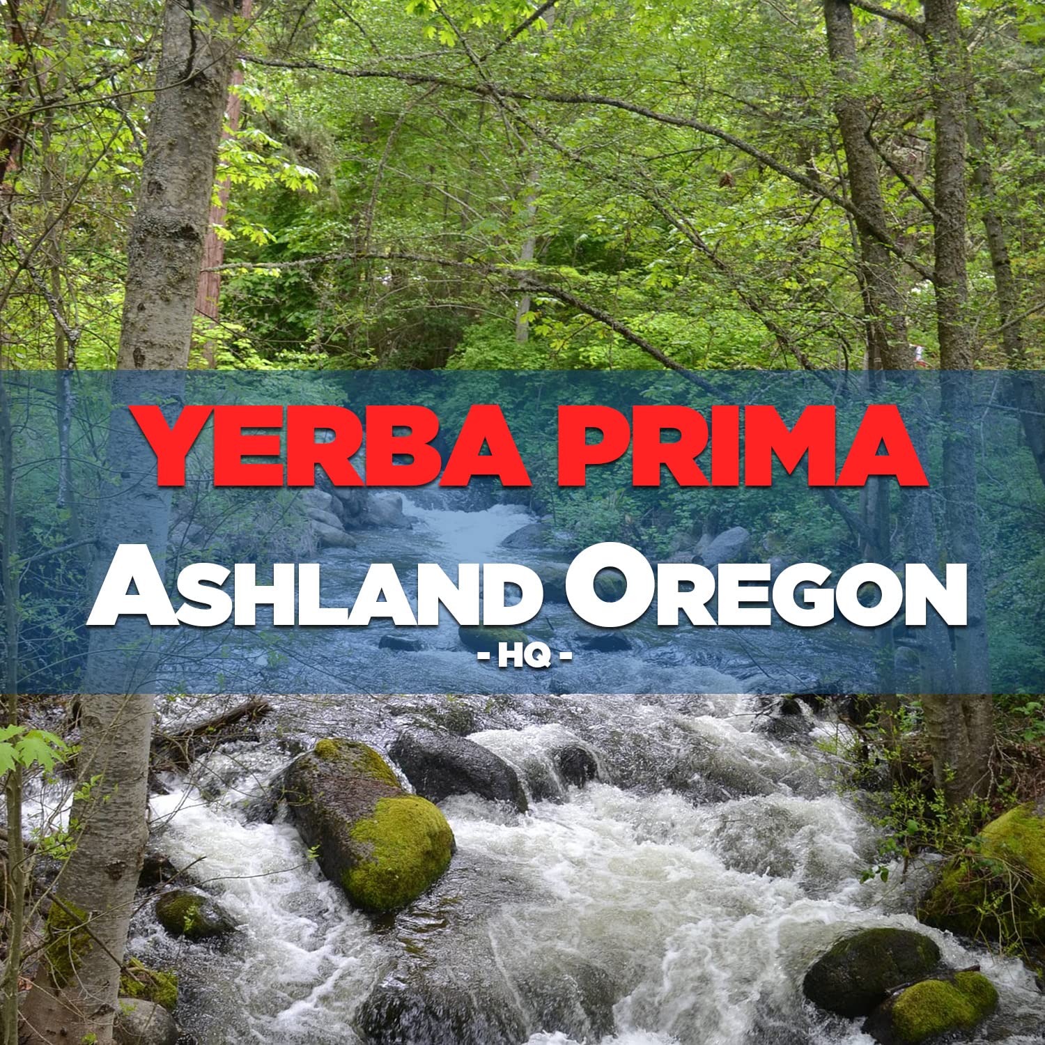 Measuring scoop beside Yerba Prima psyllium husks powder