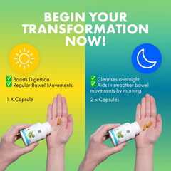 Yes You Can! detox pills ingredients artichoke, broccoli, aloe for antioxidant support.
