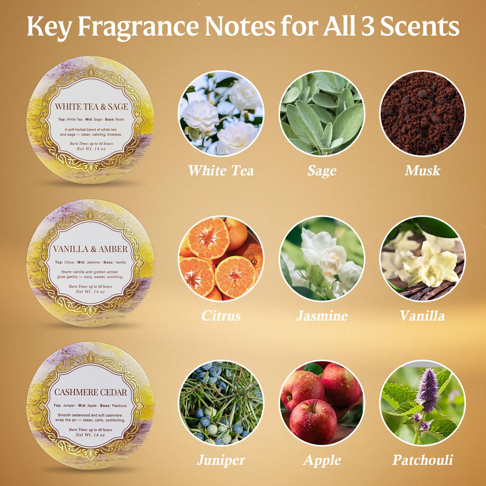 YMing 3-pack large 3-wick tin candles Vanilla Amber for warm, comforting ambiance.
