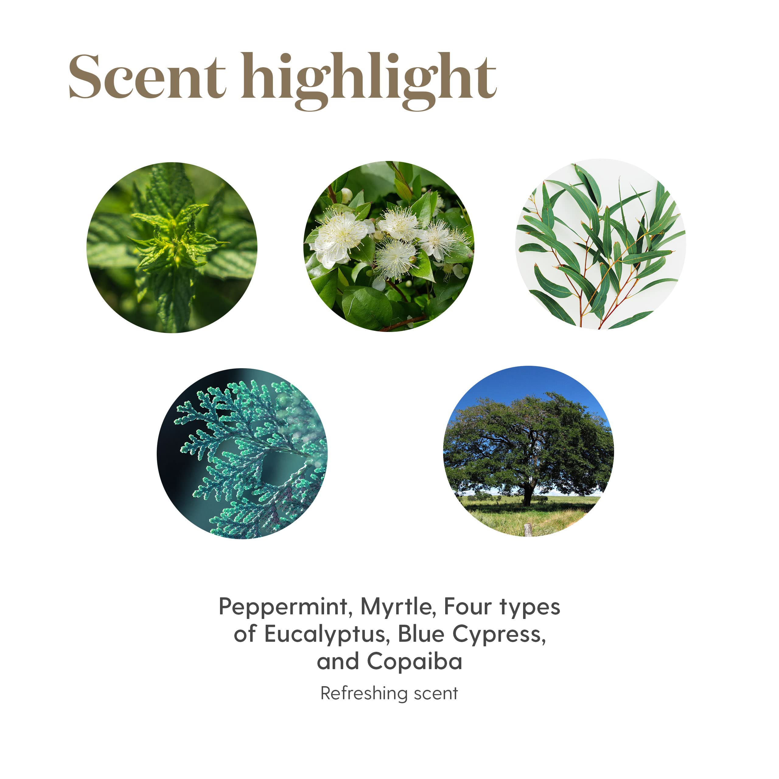 Young Living Breathe Again roll-on in travel-friendly packaging for on-the-go relief.