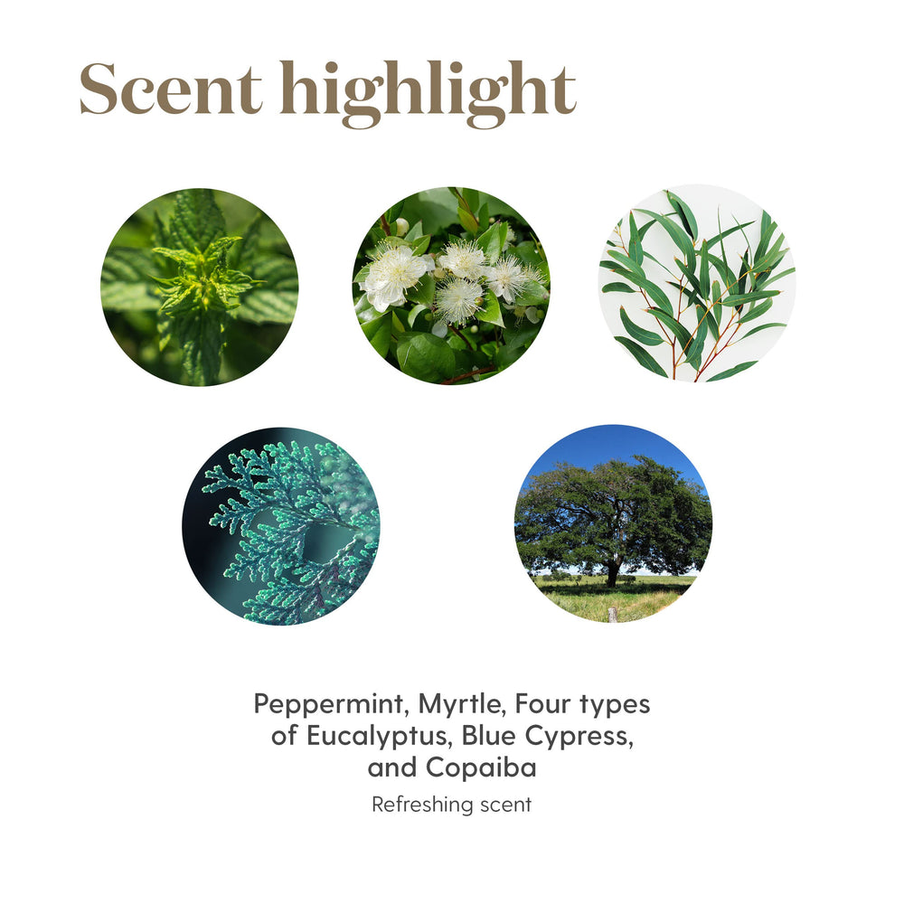 Young Living Breathe Again roll-on in travel-friendly packaging for on-the-go relief.