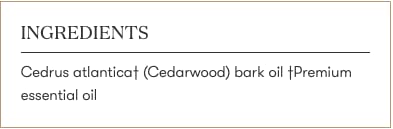 Young Living Cedarwood oil bottle close-up highlights premium packaging.
