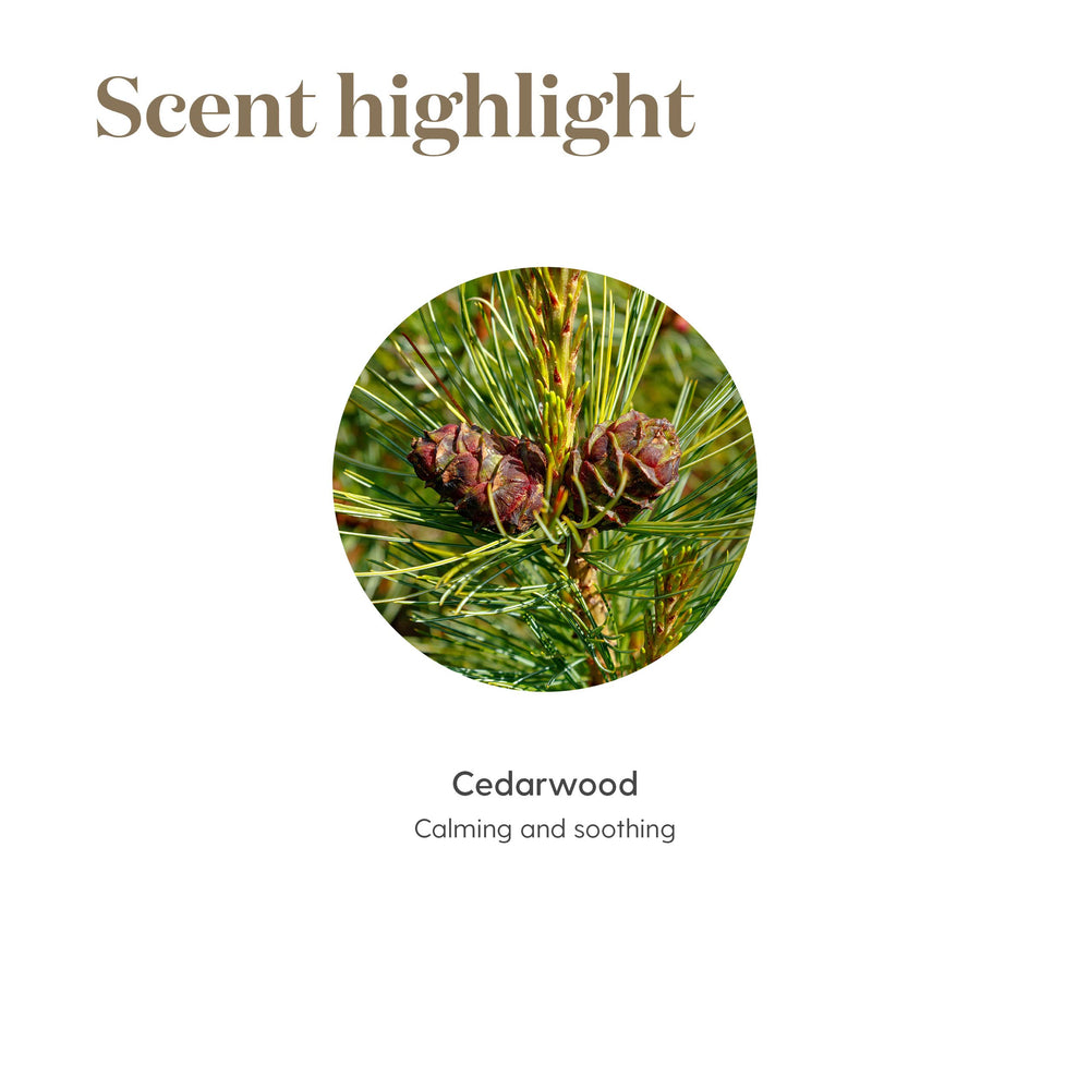 Young Living Cedarwood oil ideal for scalp massages and soothing routines.