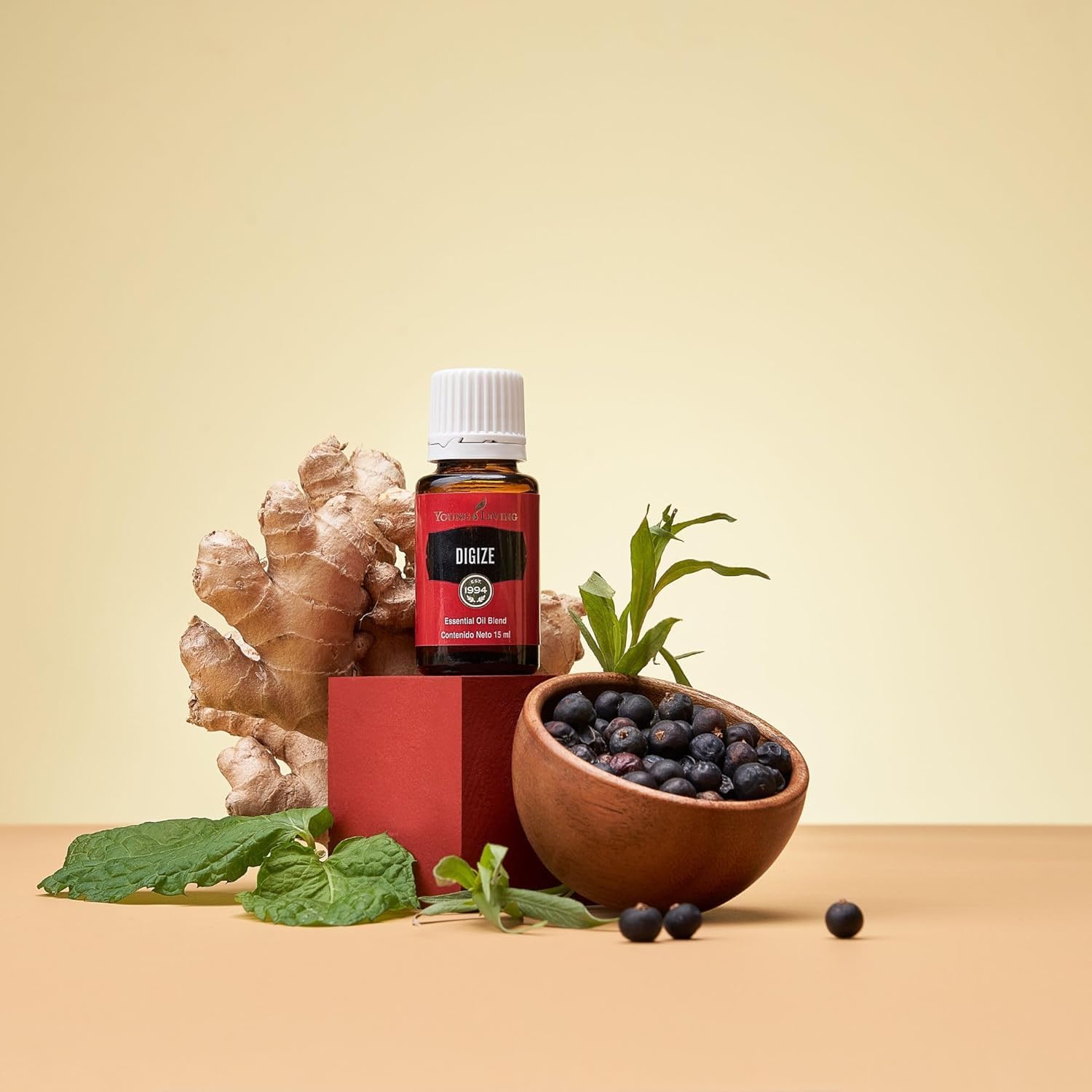 Young Living DiGize in travel kit suggesting comfortable journeys