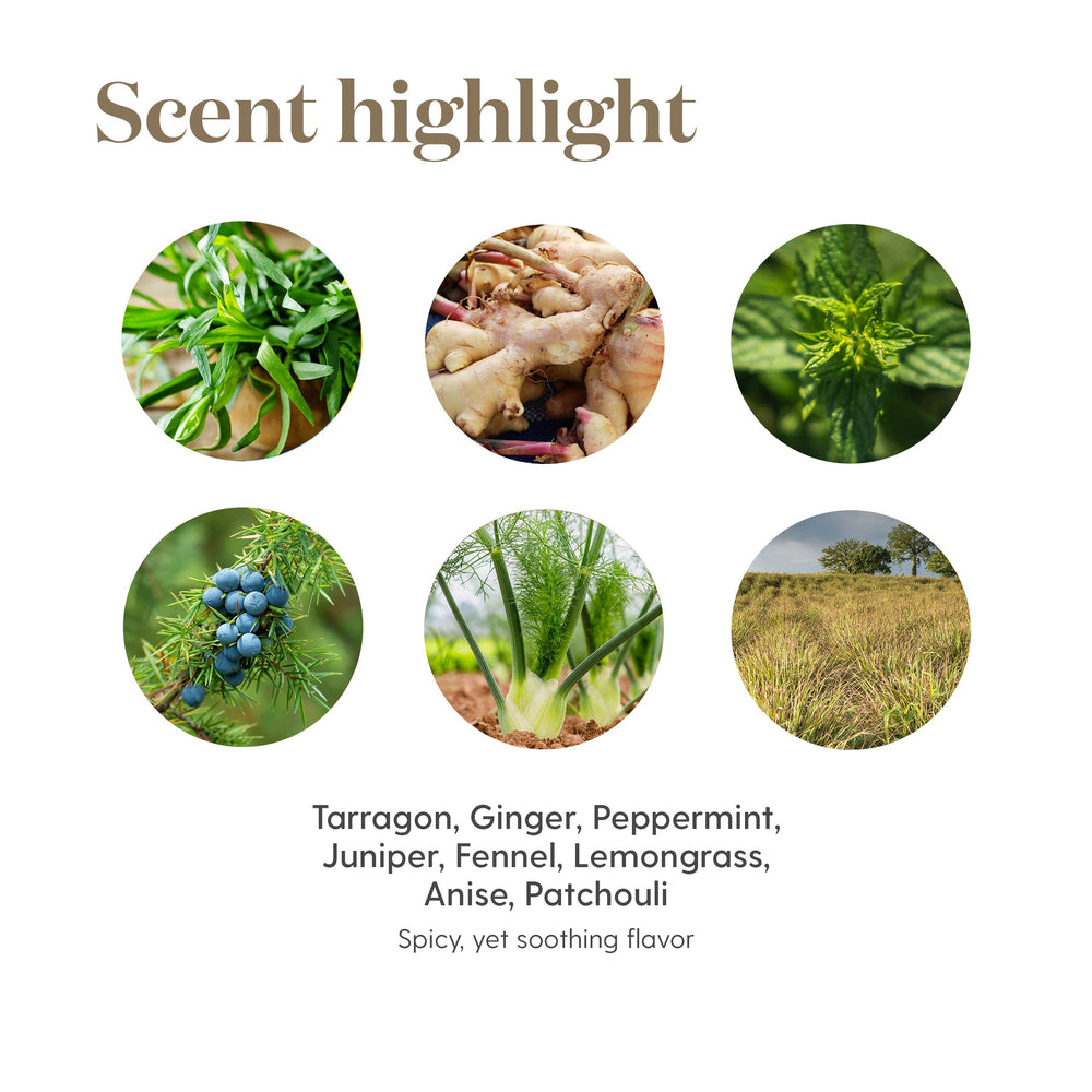 Young Living DiGize Vitality label emphasizes Seed to Seal purity