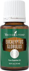 Young Living Eucalyptus Globulus essential oil bottle with dropper for refreshing diffuser aromatherapy.