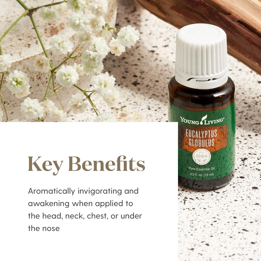 Young Living Eucalyptus Globulus diffuser scene suggesting energizing ambient aroma.