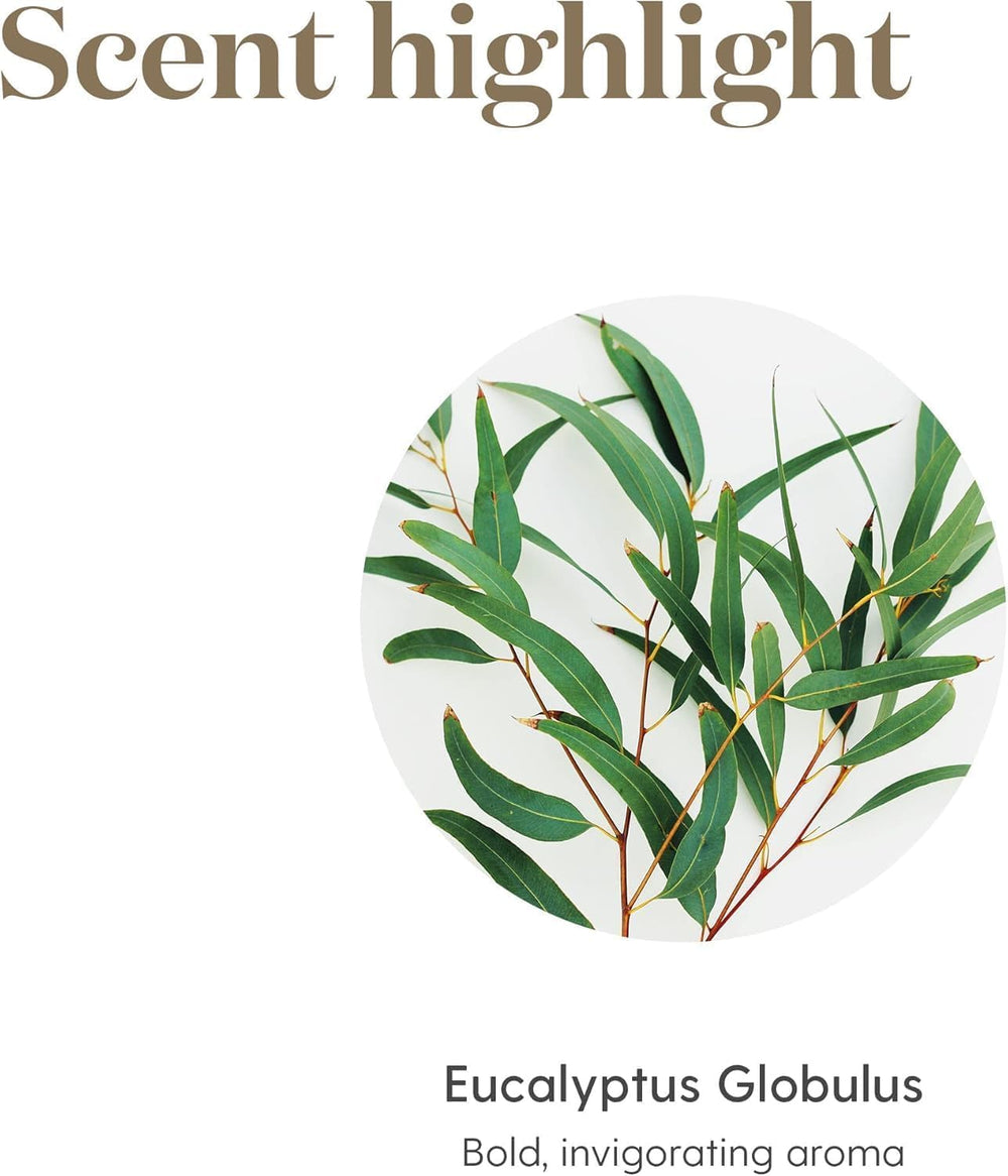 Young Living Eucalyptus Globulus Oil natural-aromatherapy, ideal for spa-like relaxation at home.