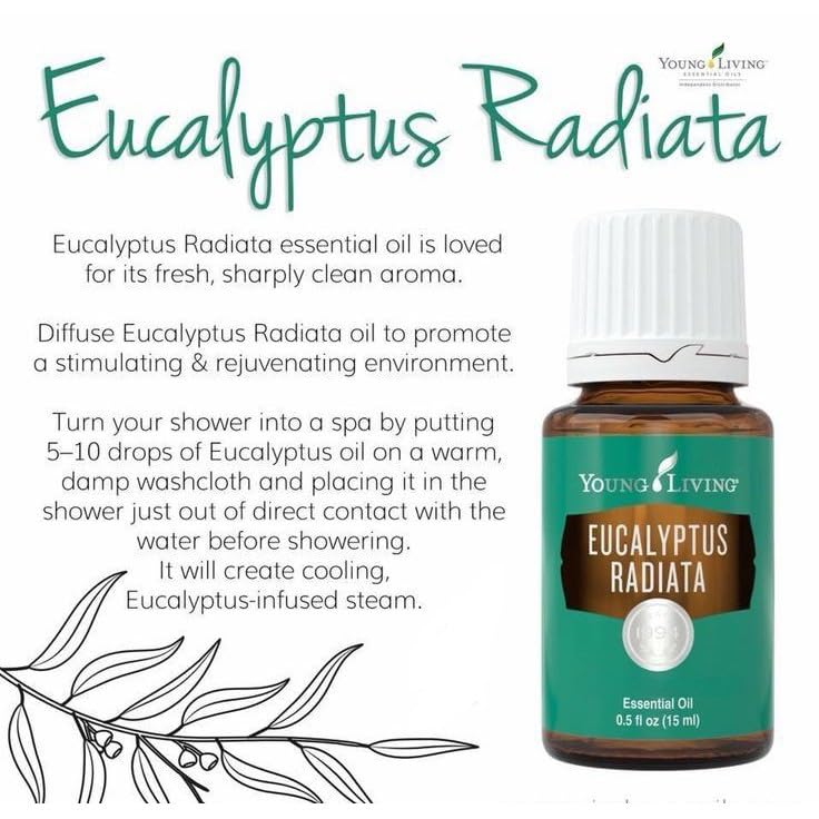 Young Living Eucalyptus Radiata massage oil — enhances massage aroma.