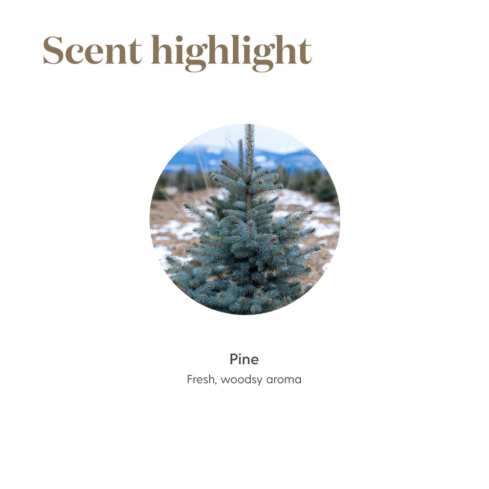 Young Living Pine oil product page showing kosher-certified quality.