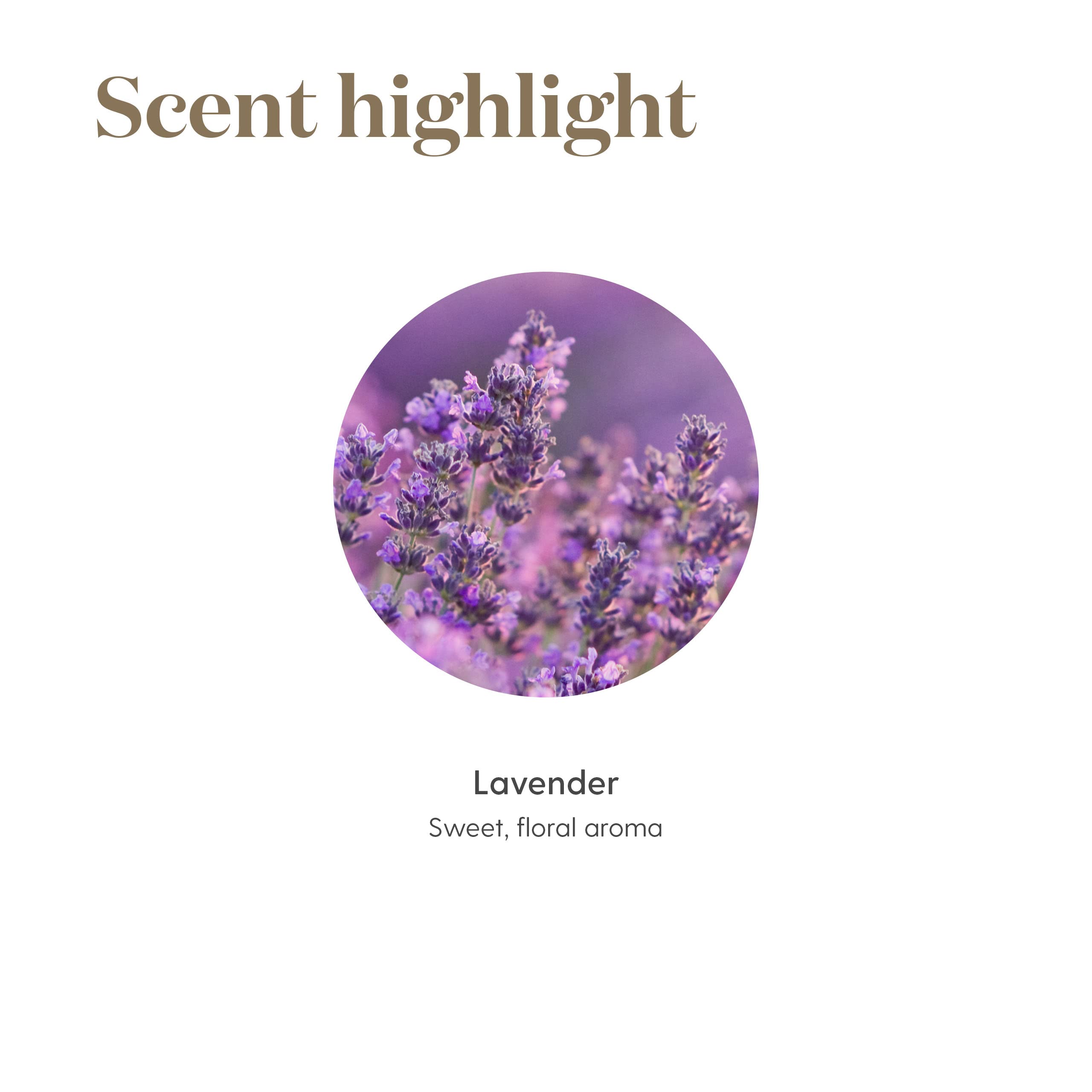 Young Living Lavender Oil applied to skincare for gentle fragrance.