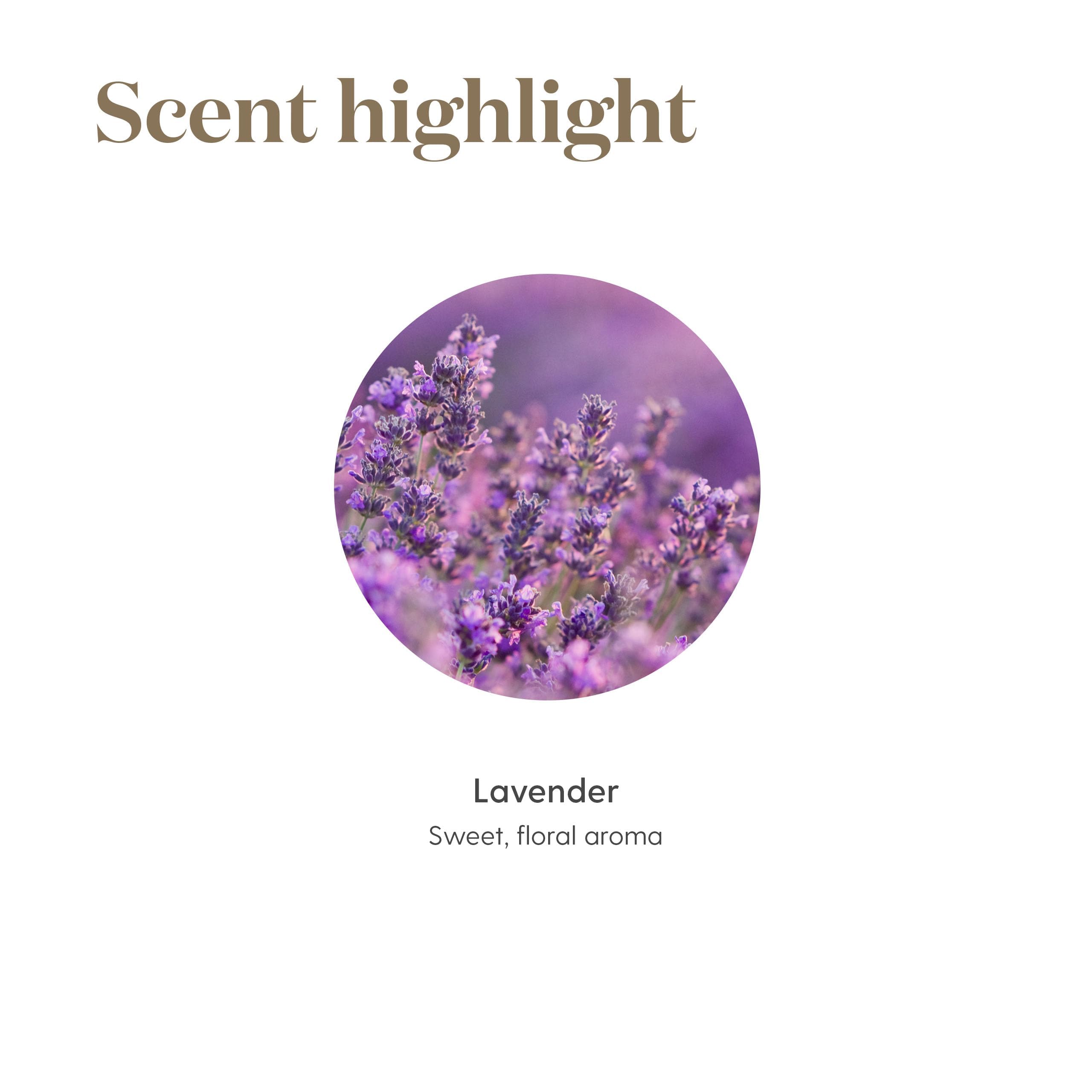 Young Living Lavender oil for spa bath, promoting relaxation.