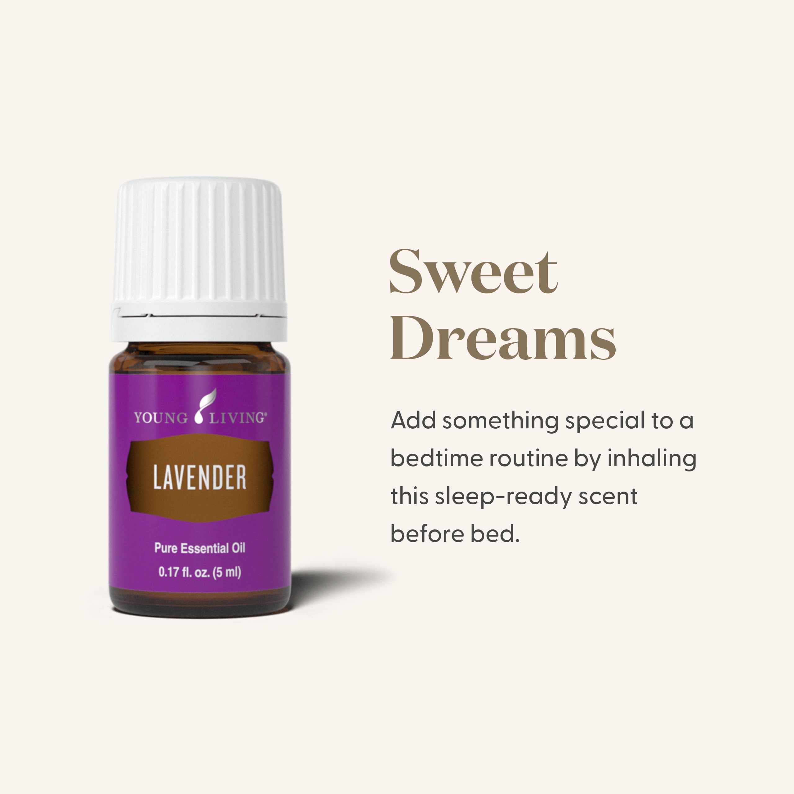 Young Living Lavender Oil diffuser scene for relaxing ambiance and sensory rituals