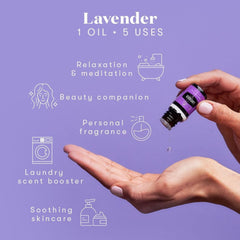 Young Living Lavender Oil in a diffuser—soft floral aroma for a peaceful room atmosphere.
