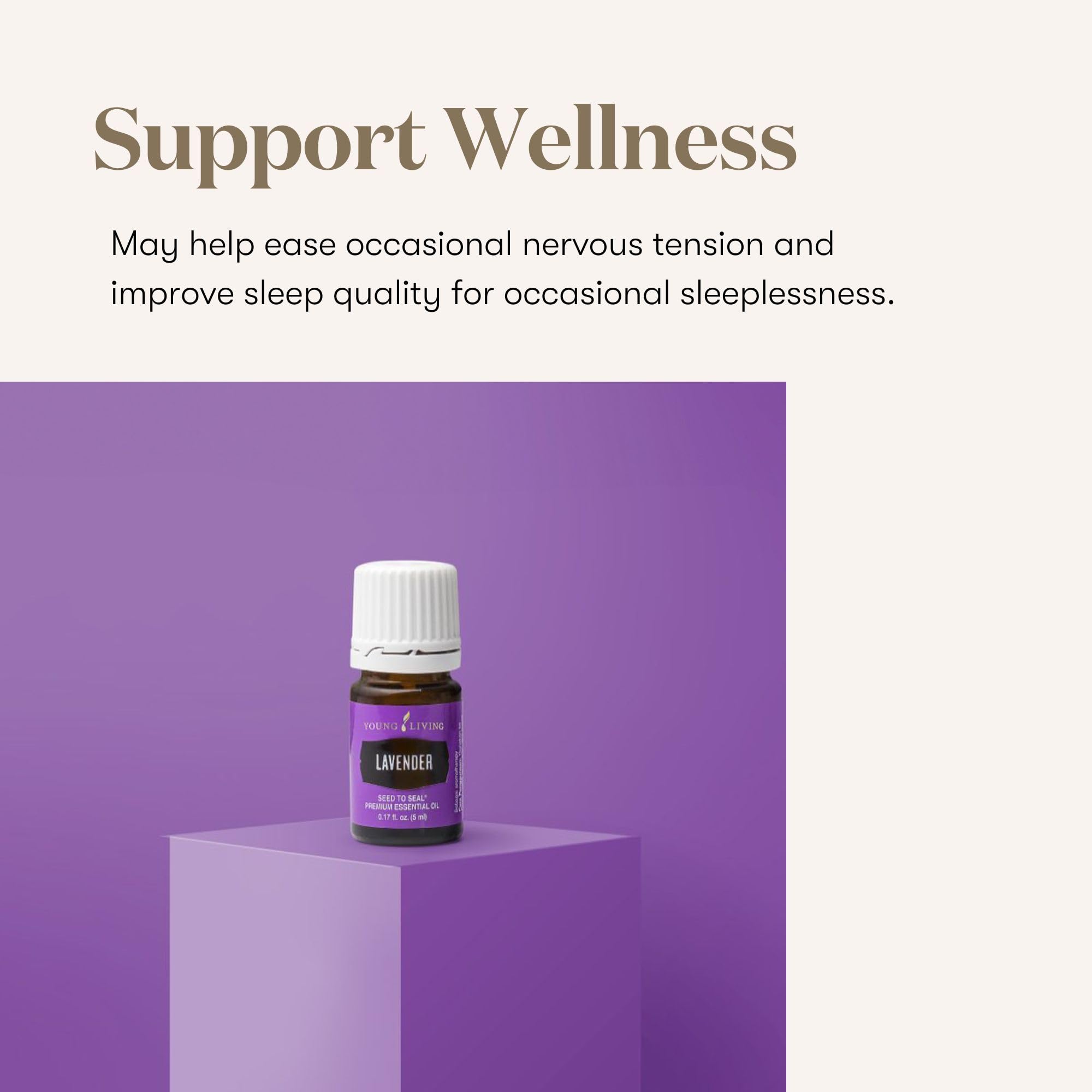 Young Living Lavender Oil added to moisturizer—balanced look and gentle aroma.