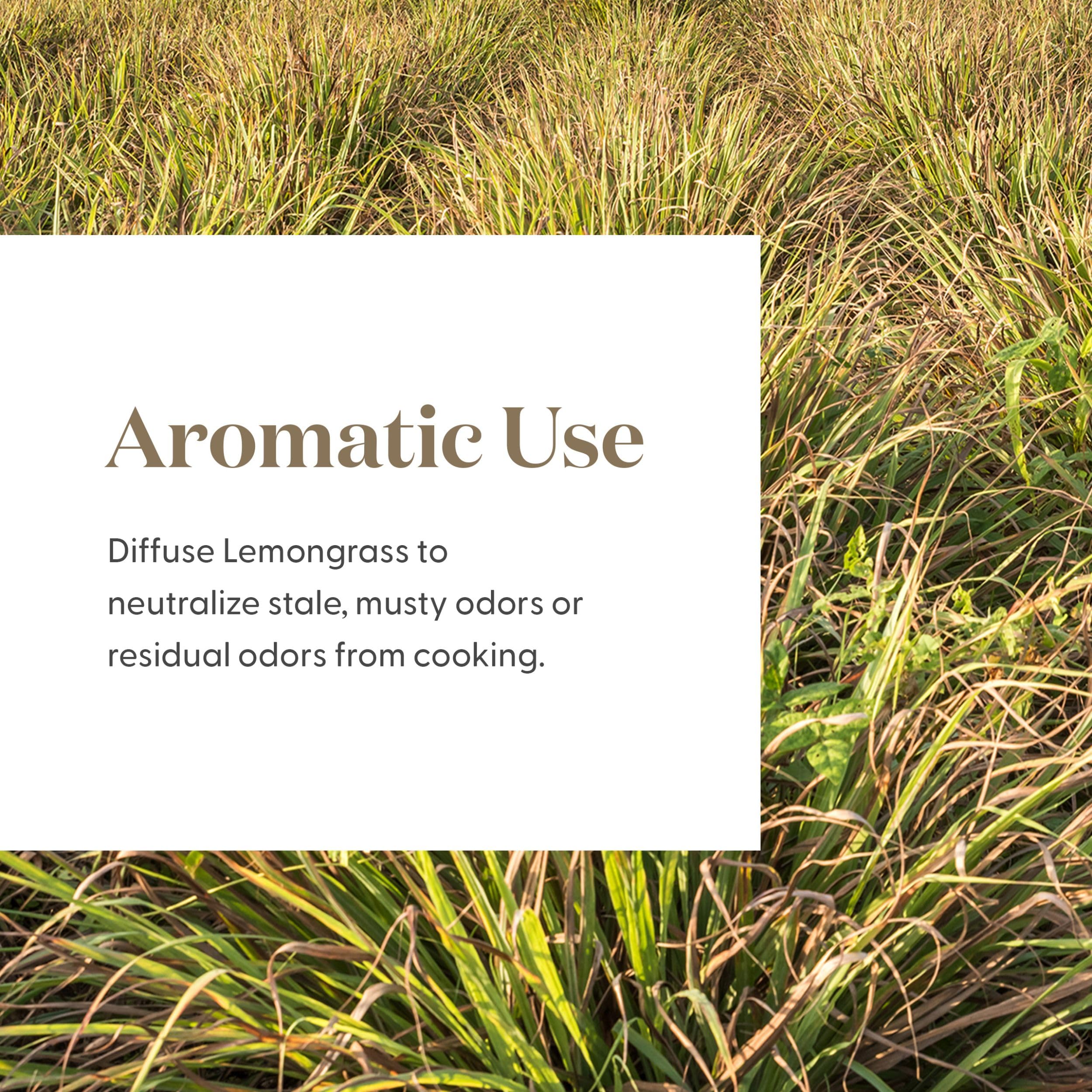 Young Living Lemongrass citrus aroma delivers refreshing ambience for everyday spaces.
