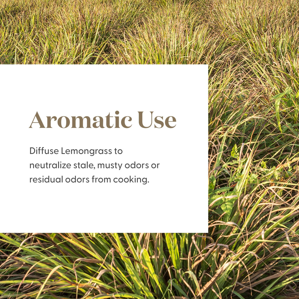 Young Living Lemongrass citrus aroma delivers refreshing ambience for everyday spaces.