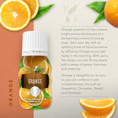 Young Living Orange Essential Oil diffuser scene releasing a refreshing citrus aroma.