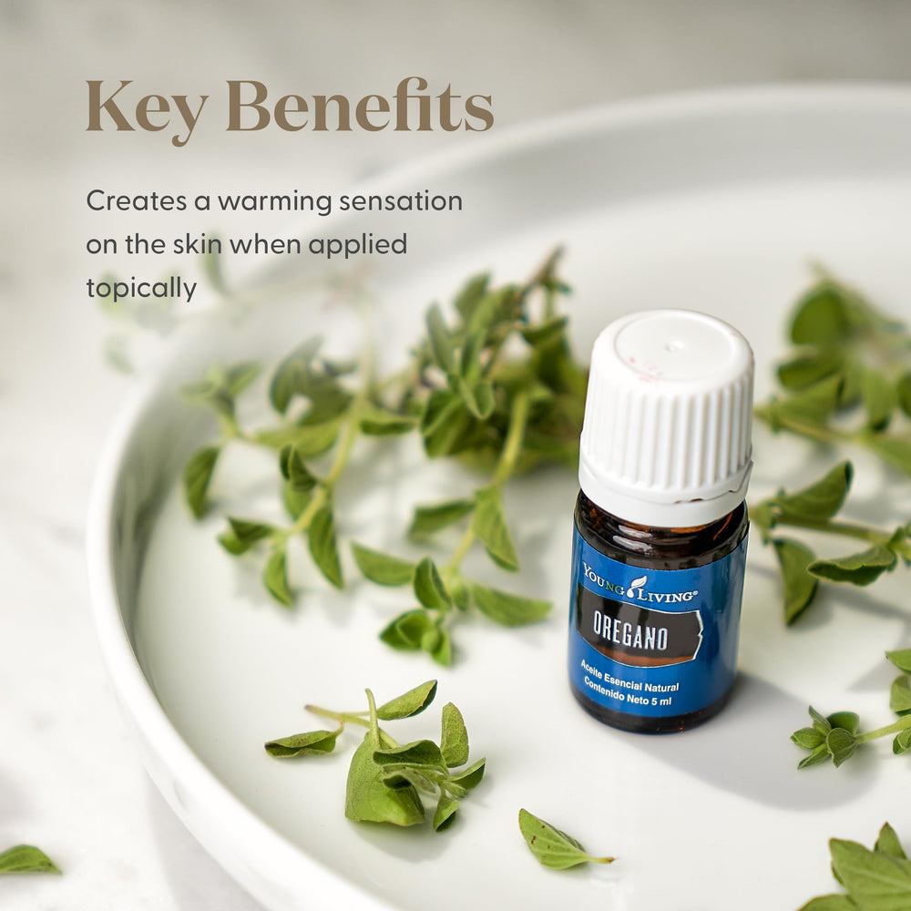 Young Living Oregano oil diffuser scene showcasing herbaceous aroma filling the room