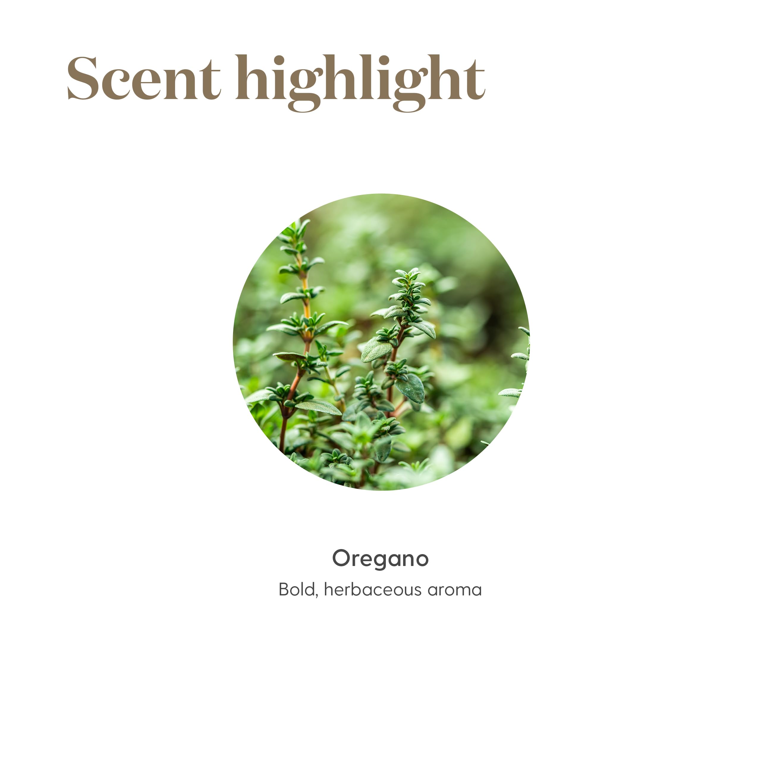 Young Living Oregano oil packaging emphasizing authentic 100% pure and natural quality