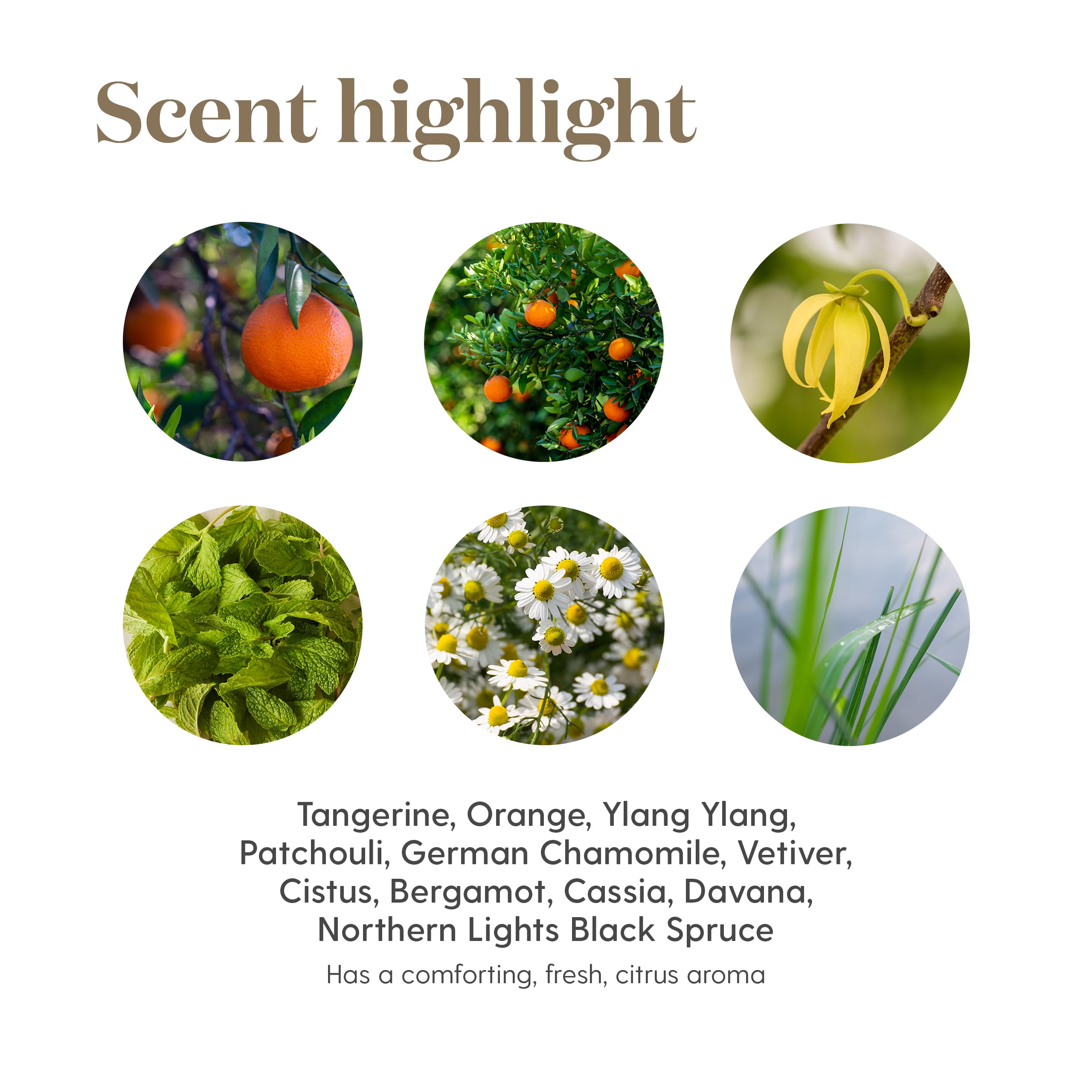 Young Living Peace Calming II bottle cap close-up