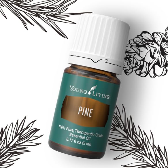 Young Living Pine essential oil in a diffuser releasing a crisp aroma.