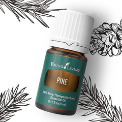 Young Living Pine essential oil in a diffuser releasing a crisp aroma.