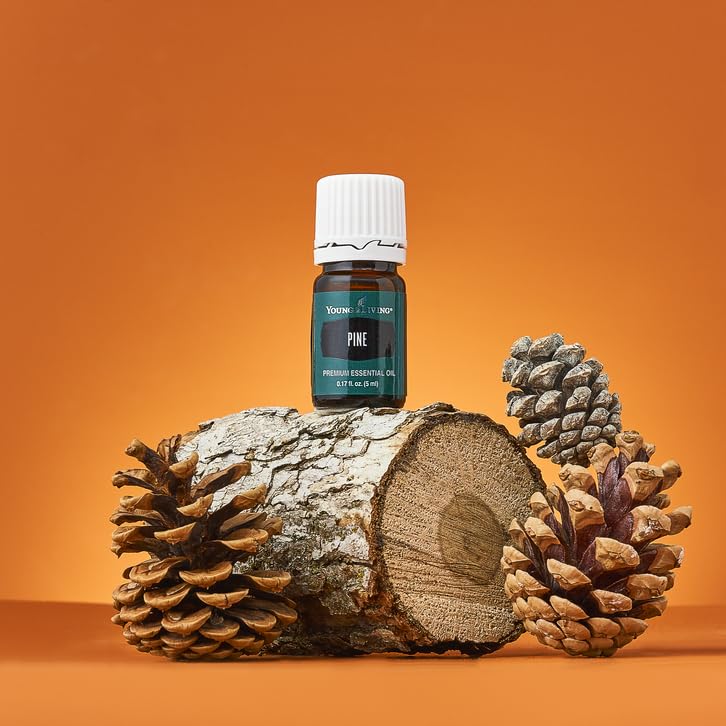 Young Living Pine essential oil ready for topical use in daily routines.