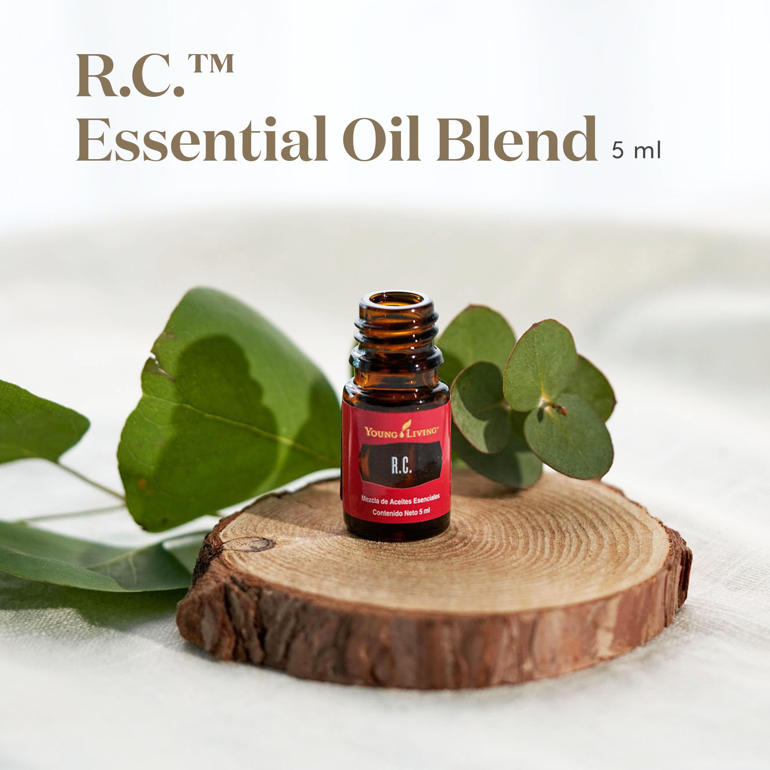 Young Living RC blend in diffuser scene showcasing a fresh, uplifting aroma