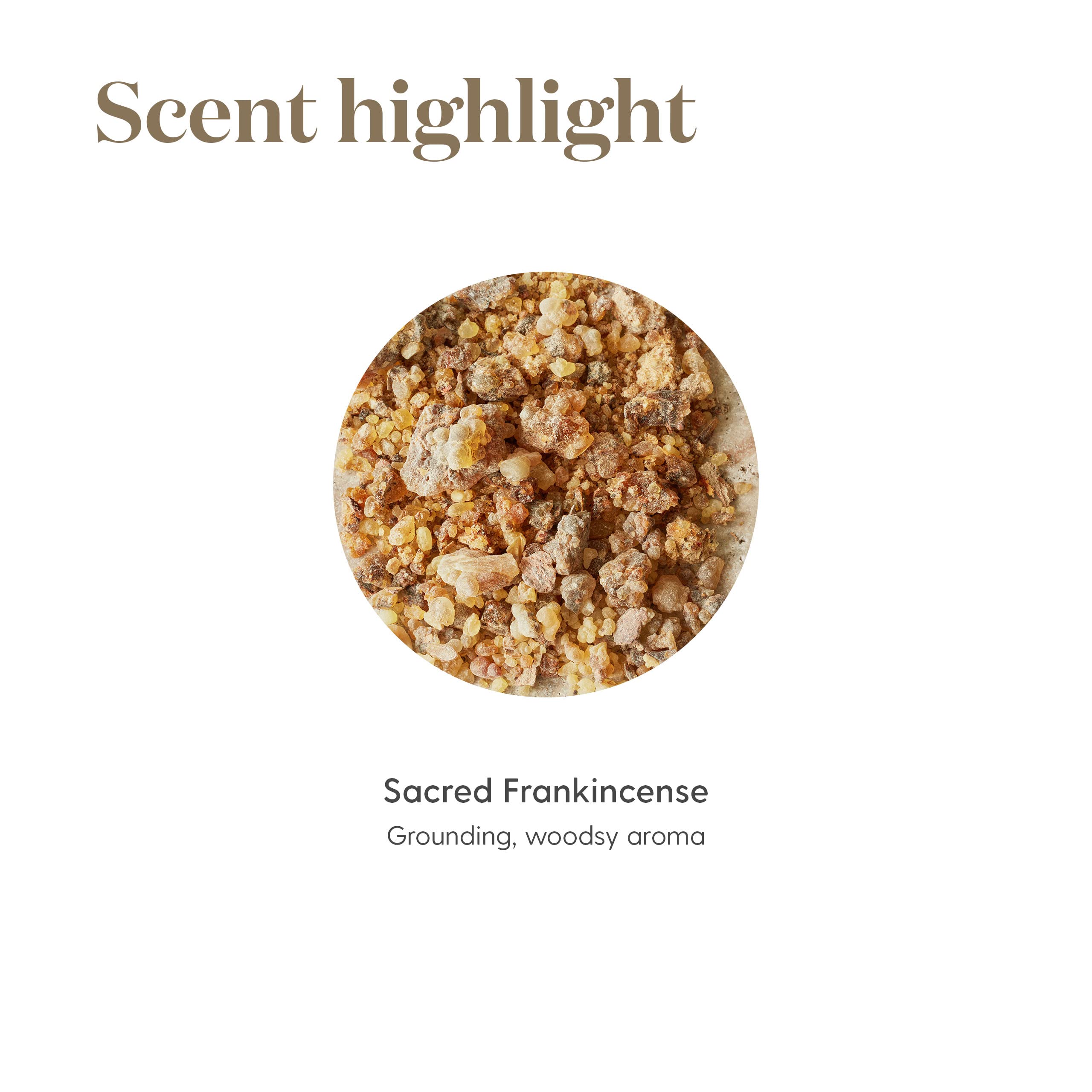 Young Living Sacred Frankincense eco-label; sustainable sourcing signals purity and care.