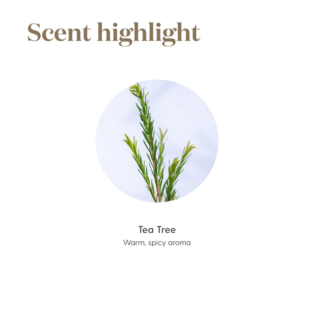 Young Living Tea Tree Oil leaves beside bottle for aromatic routines
