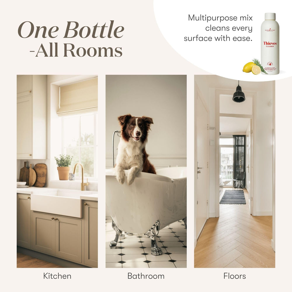 YOUNG LIVING Thieves Cleaner carpet stain spot for quick refresh