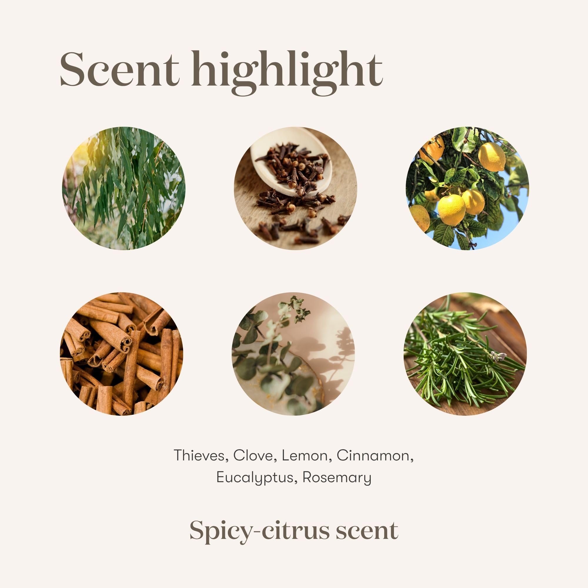 YOUNG LIVING Thieves Cleaner spray mist for everyday cleaning